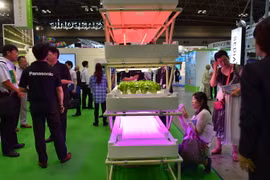 Hệ thống trồng trọt công nghệ cao của Panasonic. (Ảnh: Nguyễn Tuyến/Vietnam+)