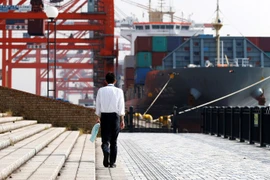 Tàu chở container tại một cảng ở Tokyo. (Nguồn: Reuters)