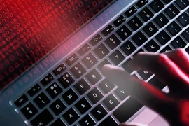 Ảnh minh họa. (Nguồn: Getty Images)