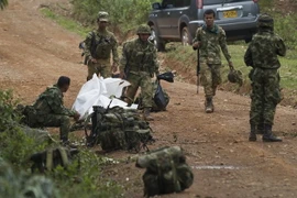 Colombia: FARC sẽ tiếp tục ngừng bắn đơn phương vô thời hạn