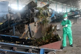 (Ảnh minh họa: Thế Duyệt/TTXVN)