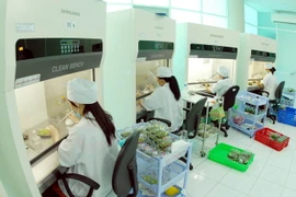 (Ảnh minh họa: Mạnh Linh/TTXVN)