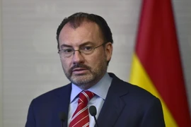 Ngoại trưởng Mexico Luis Videgaray Caso. (Nguồn: AFP/TTXVN)