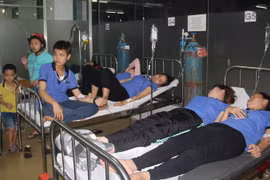 (Ảnh minh họa: Huyền Trang/TTXVN)
