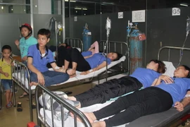 (Ảnh minh họa: Huyền Trang/TTXVN)