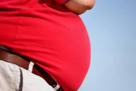 Ảnh minh họa. (Nguồn: nst.com.my)