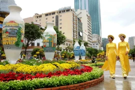Một góc Đường hoa Nguyễn Huệ Xuân Đinh Dậu 2017. (Ảnh: An Hiếu/TTXVN)