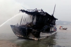 (Ảnh minh họa: Vũ Văn Đức/TTXVN)