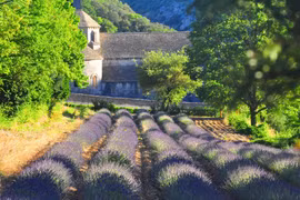 Ngoại ô Gordes, vùng Provence, Pháp. (Ảnh: Trương Anh Ngọc/Vietnam+)