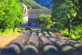 Ngoại ô Gordes, vùng Provence, Pháp. (Ảnh: Trương Anh Ngọc/Vietnam+)