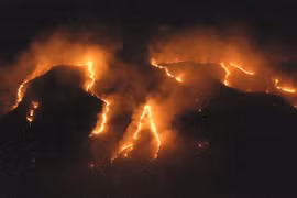 Cháy xảy ra tại rừng mưa Amazon ở bang Tocantins, Brazil ngày 17/8/2019. (Nguồn: THX/TTXVN) 
