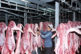 Ảnh chỉ mang tính minh họa (Ảnh: Đình Huệ/TTXVN)