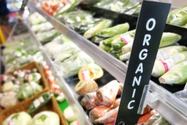 Ảnh minh họa. (Nguồn: ien.com) 