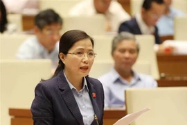 Đại biểu Quốc hội tỉnh Quảng Ninh Đỗ Thị Lan phát biểu trong một phiên họp. (Ảnh: Phương Hoa/TTXVN) 