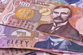 Ảnh minh họa. (Nguồn: tvnz.co.nz)