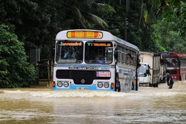 Mưa lớn kéo dài ở Paraguay, 75.000 hộ dân phải sơ tán