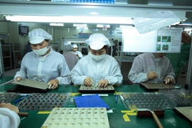 Công nhân sản xuất linh kiện điện tử tại Công ty trách nhiệm hữu hạn 4P ở Hưng Yên. (Ảnh: Phạm Kiên/TTXVN) 