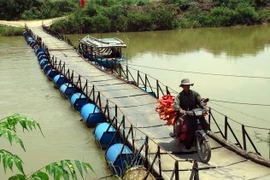 (Ảnh minh họa: Đỗ Trưởng/TTXVN)