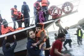 Người di cư tới đảo Lesbos của Hy Lạp sau hành trình vượt biển Aegean từ Thổ Nhĩ Kỳ ngày 15/11/2015. (Nguồn: AFP/TTXVN)