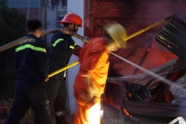 (Ảnh minh họa: Huyền Trang/TTXVN)