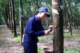 Việt Nam nằm trong tốp 5 nước có giá trị đầu tư lớn nhất tại Campuchia