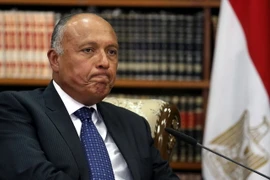 Ngoại trưởng Ai Cập Sameh Shoukry. (Nguồn: EPA/TTXVN)