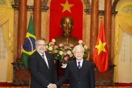 Chủ tịch nước Nguyễn Phú Trọng tiếp Ngài Fernando Aparício da Silva, Đại sứ Đặc mệnh toàn quyền Cộng hòa Liên bang Brazil tại Việt Nam đến trình Quốc thư. (Ảnh: Trí Dũng/ TTXVN) 