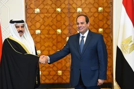 Tổng thống Ai Cập Abdel Fattah El-Sisi và Quốc vương Bahrain Hamad bin Issa al-Khalifa (trái). (Nguồn: AFP)