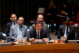 Phó Đại sứ Nga tại Liên hợp quốc Vladimir Safronkov (giữa, phía trước) tại phiên họp của Hội đồng Bảo an Liên hợp quốc về vấn đề viện trợ cho Syria ở New York (Mỹ) ngày 19/12. (Nguồn: THX/TTXVN)