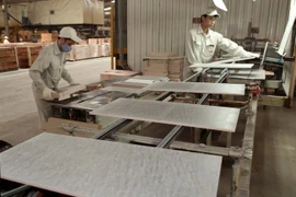 Công nhân làm việc trong một nhà máy ở Vĩnh Phúc. (Ảnh: Trần Việt/TTXVN)