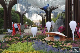 Đường hoa Tết Kỷ Hợi 2019 tại phố đi bộ Nguyễn Huệ, Quận 1, Thành phố Hồ Chí Minh. (Ảnh: Thanh Vũ/TTXVN) 