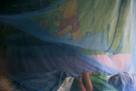 Dịch sốt xuất huyết bùng phát mạnh tại Singapore