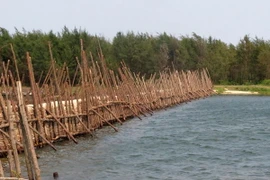 (Ảnh minh họa: Sỹ Thắng/TTXVN) 