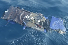 Mảnh vỡ máy bay Lion Air JT 610 trôi trên biển ở phía bắc Karawang, tỉnh Tây Java, Indonesia ngày 29/10. (Nguồn: AFP/TTXVN) 