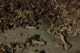 Trường học Trung Quốc dùng xương gà thối nấu canh cho học sinh