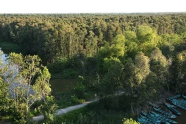 Cà Mau sẽ khai thác gần 6.000ha rừng trong năm 2015