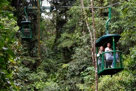 Rừng nhiệt đới thuộc Công viên quốc gia Braulio Carrillo, Costa Rica. (Nguồn: THX/TTXVN)