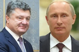 Tổng thống Nga Vladimir Putin (phải) và người đồng cấp Ukraine Petro Poroshenko (trái). (Nguồn: The Telegraph/TTXVN) 