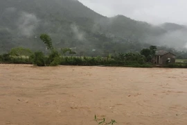 Mưa lũ gây ngập lụt tại huyện Văn Bàn (Lào Cai). (Ảnh: Hương Thu/TTXVN)