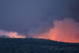 Cháy rừng tại Washington, miền Tây nước Mỹ ngày 21/8. (Nguồn: AFP/TTXVN)