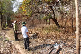 (Ảnh minh họa: Lê Đức Hoảnh/TTXVN)