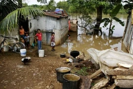 Ảnh minh họa. (Nguồn: wreporter.com)