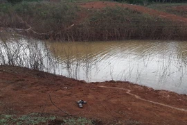 Ảnh minh họa. (Nguồn: TTXVN)