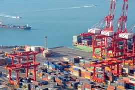 Container hàng hóa được xếp tại cảng ở Busan, Hàn Quốc. (Nguồn: AFP/TTXVN) 