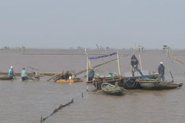 Gió lốc làm lật bè, 5 ngư dân Thanh Hóa được cứu vớt kịp thời