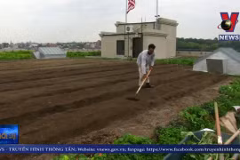 [Video] Trang trại trồng rau sạch trên mái nhà lớn nhất New York