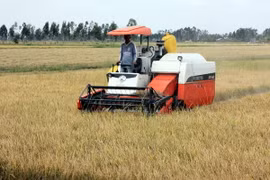 Sức sống mới trên vùng đất An Biên 40 năm sau đại thắng mùa Xuân