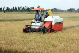 Sức sống mới trên vùng đất An Biên 40 năm sau đại thắng mùa Xuân