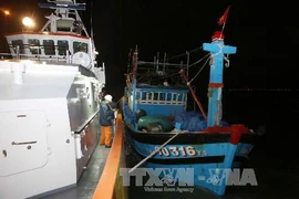 (Ảnh minh họa: Trần Lê Lâm/TTXVN)