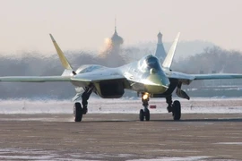 Ảnh minh họa. (Nguồn: sputniknews.com)